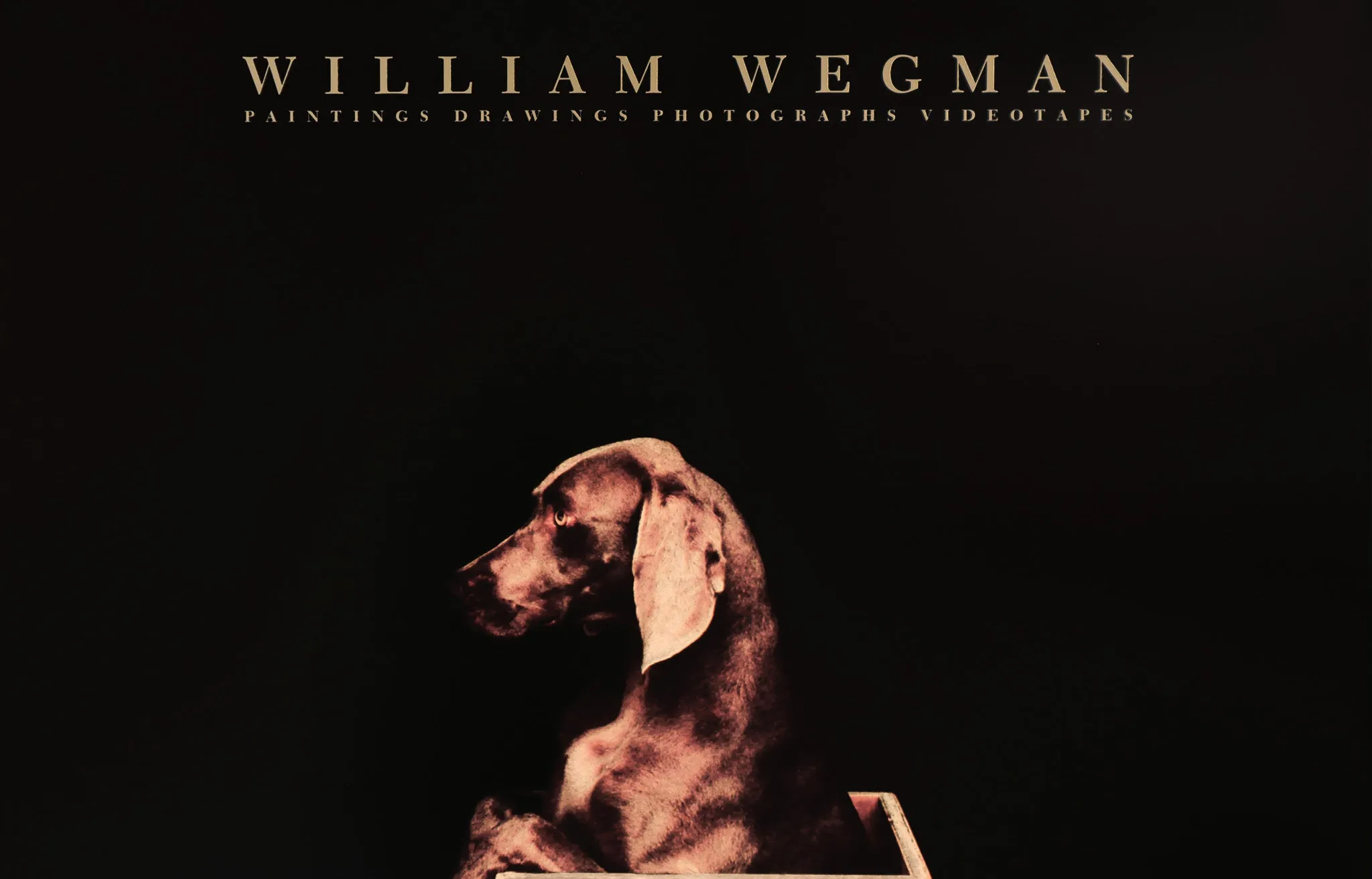 1987 American Exhibition Poster - William Wegman, The John and Mable Ringling Museum of Art