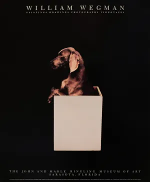 1987 American Exhibition Poster - William Wegman, The John and Mable Ringling Museum of Art